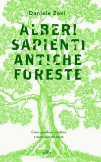 Alberi Sapienti Antiche Foreste