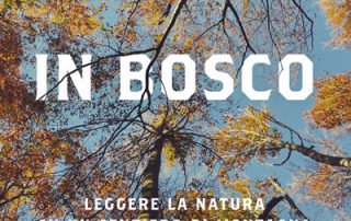 In bosco - Leggere la natura su un sentiero di montagna