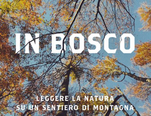 È uscito il libro “In bosco”.