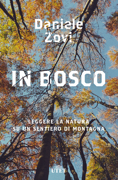 In bosco